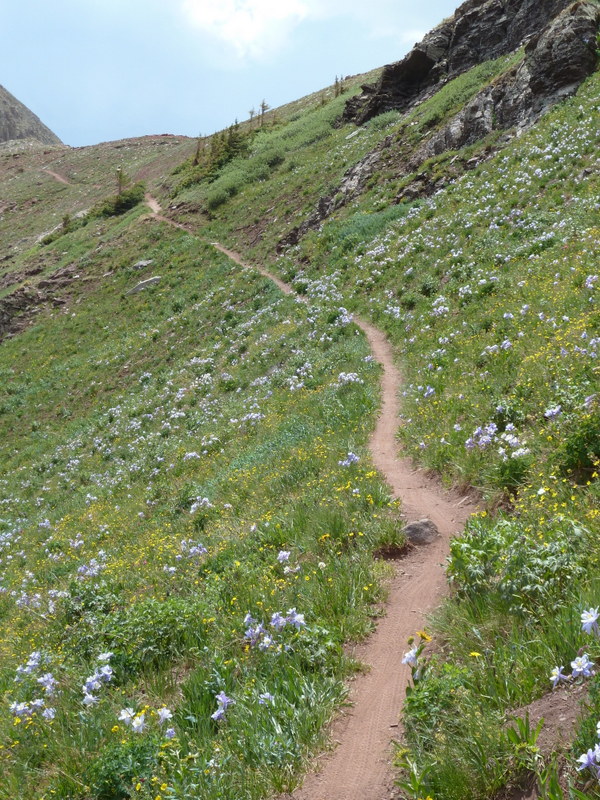 Indian Ridge on Colorado Trail